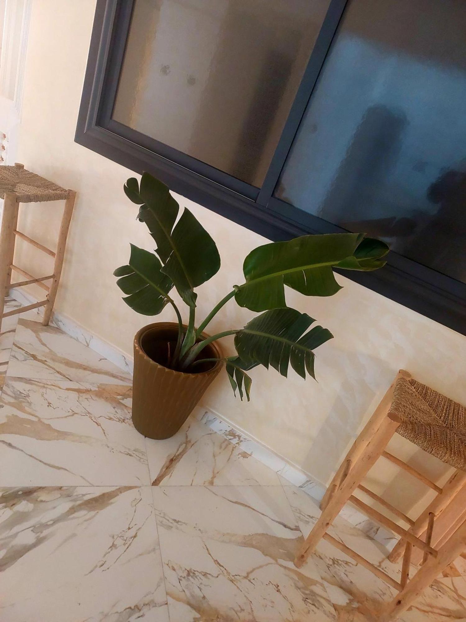 Mogador Appartements T6 Есувейра Екстериор снимка